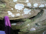 P1010025.JPG