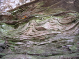 P1010026.JPG