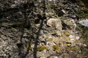 IMG_1673.JPG