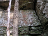P1010027.JPG
