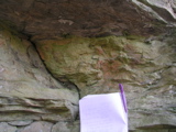 P1010028.JPG
