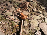 P1010029.JPG