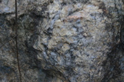 IMG_1702.JPG