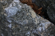 IMG_1705.JPG