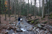 IMG_1709.JPG