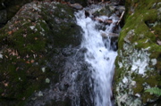 IMG_1710.JPG