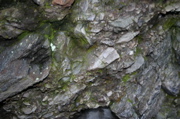 IMG_1712.JPG