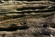 IMG_1675.JPG