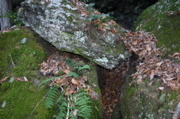 IMG_1713.JPG
