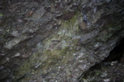 IMG_1714.JPG