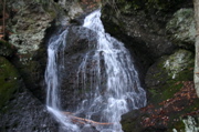 IMG_1716.JPG