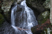 IMG_1717.JPG