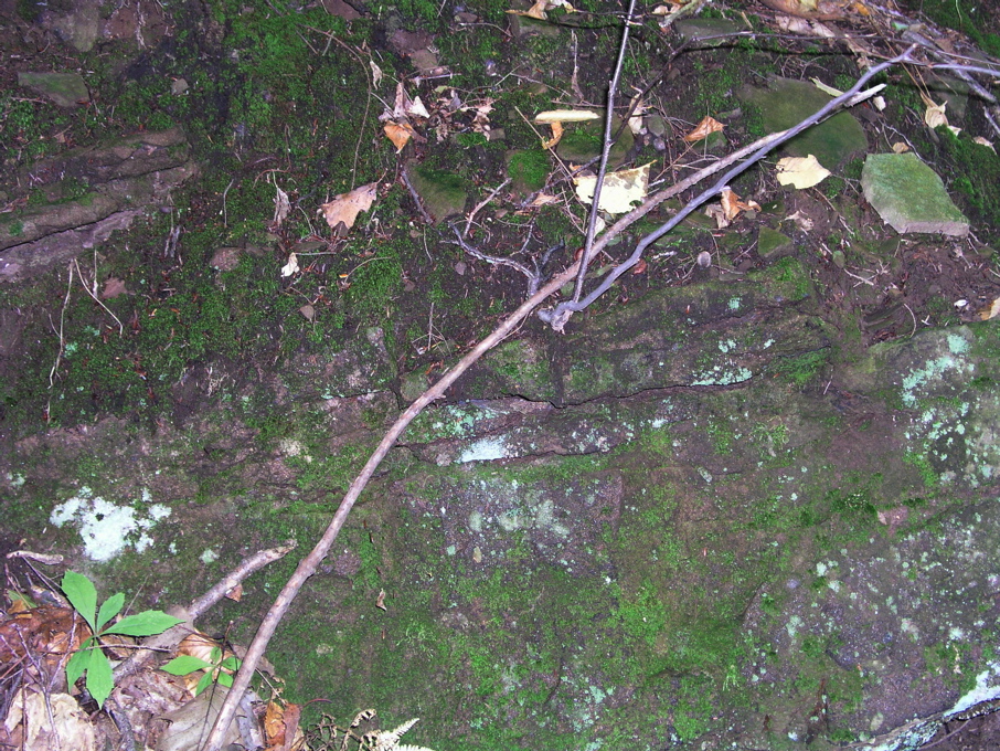 P1010001.JPG