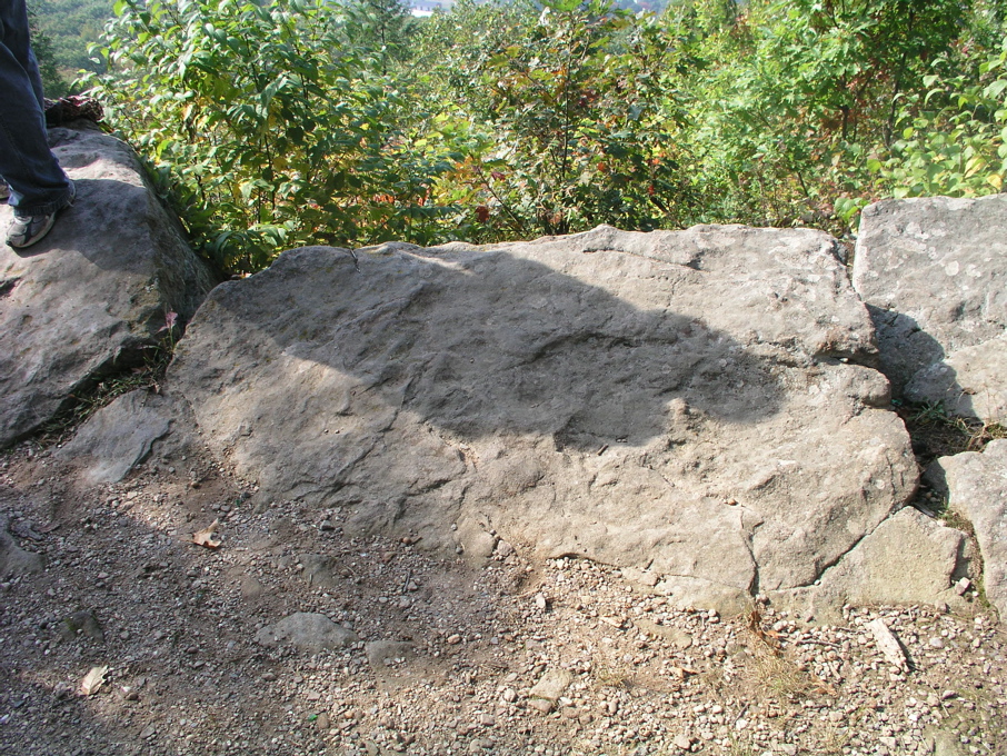 P1010004.JPG
