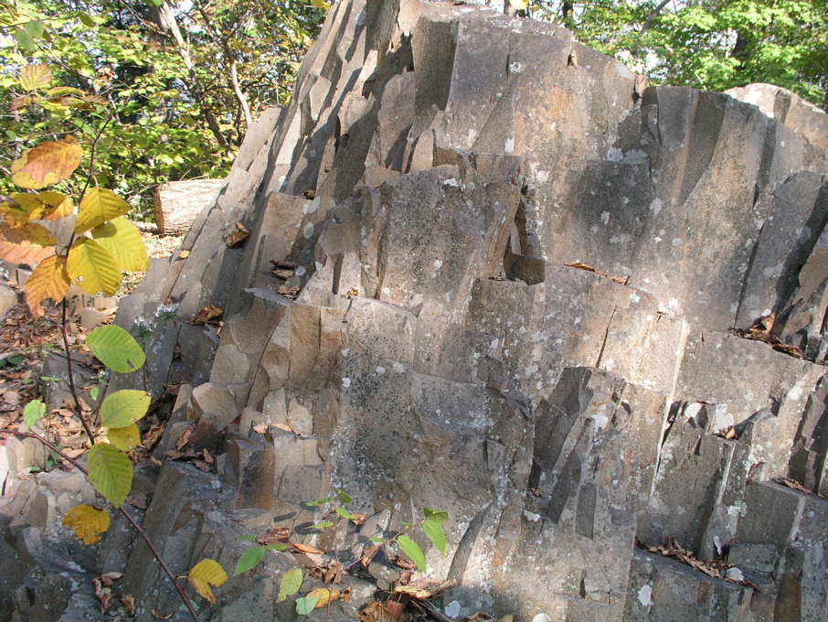 P1010006.JPG