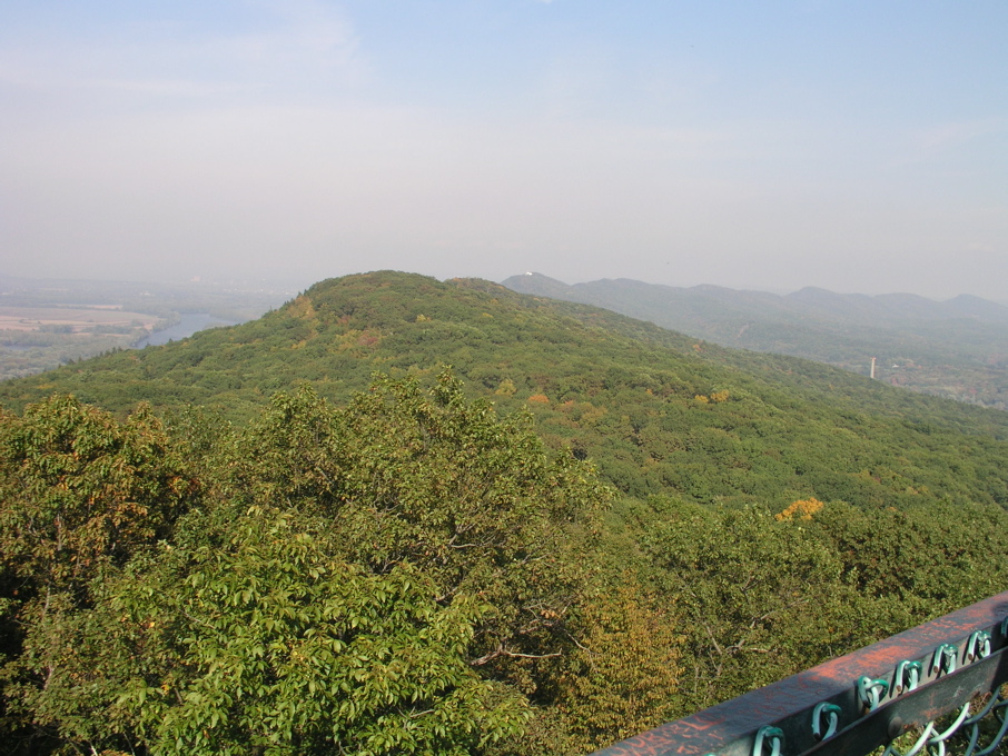 P1010008.JPG