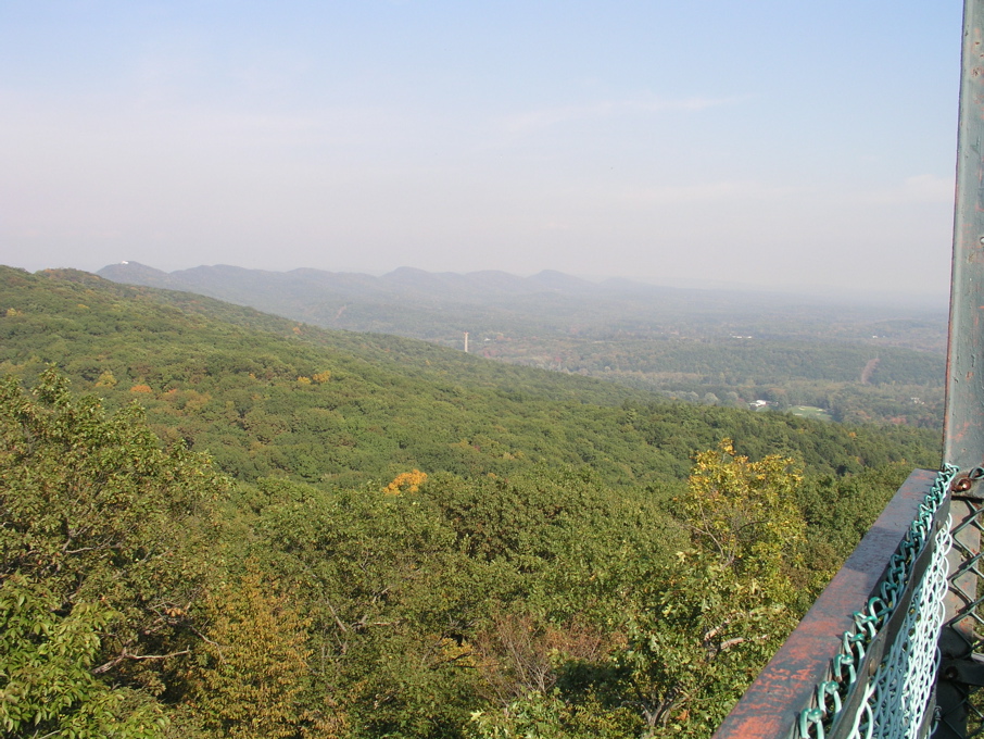 P1010009.JPG