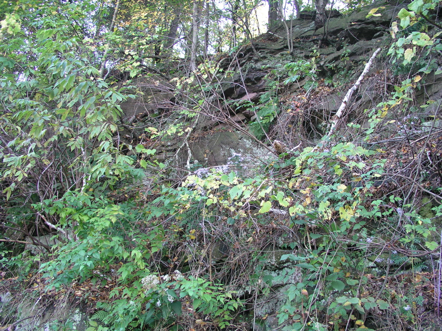 P1010017.JPG