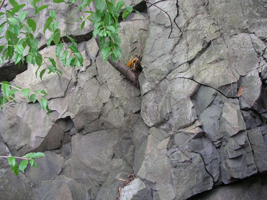 P1010001.JPG