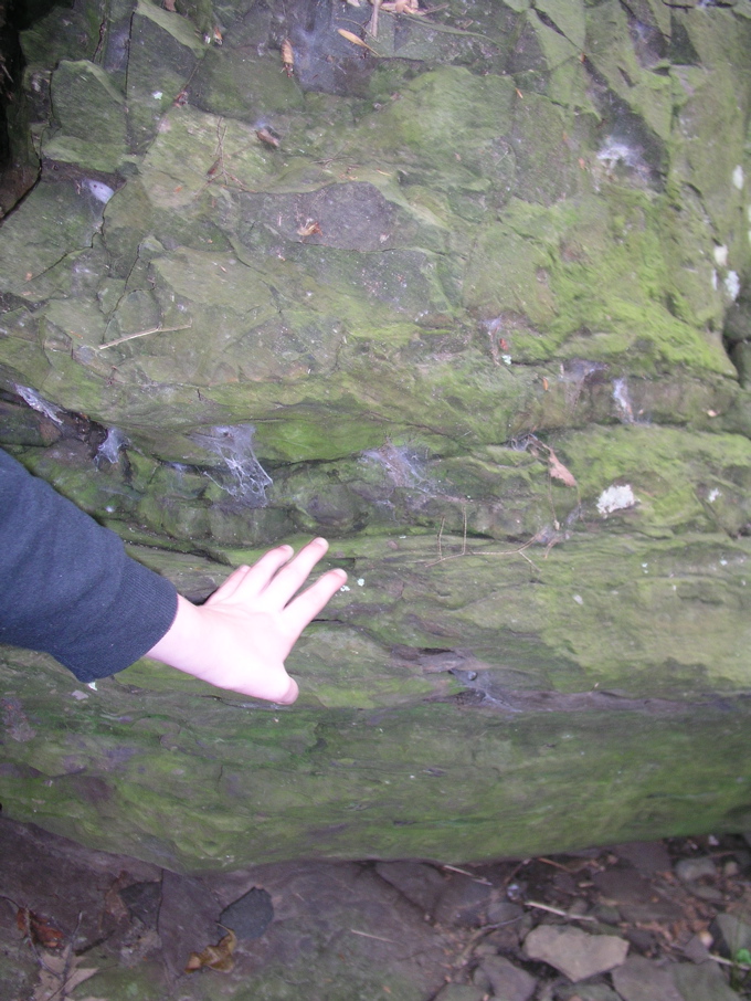 P1010007.JPG