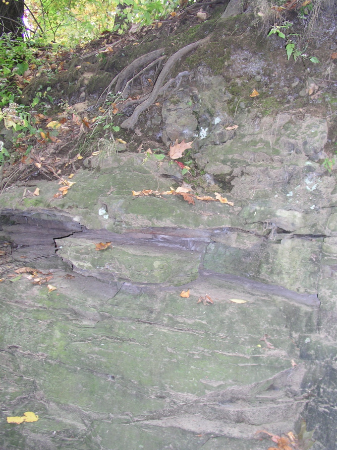 P1010008.JPG