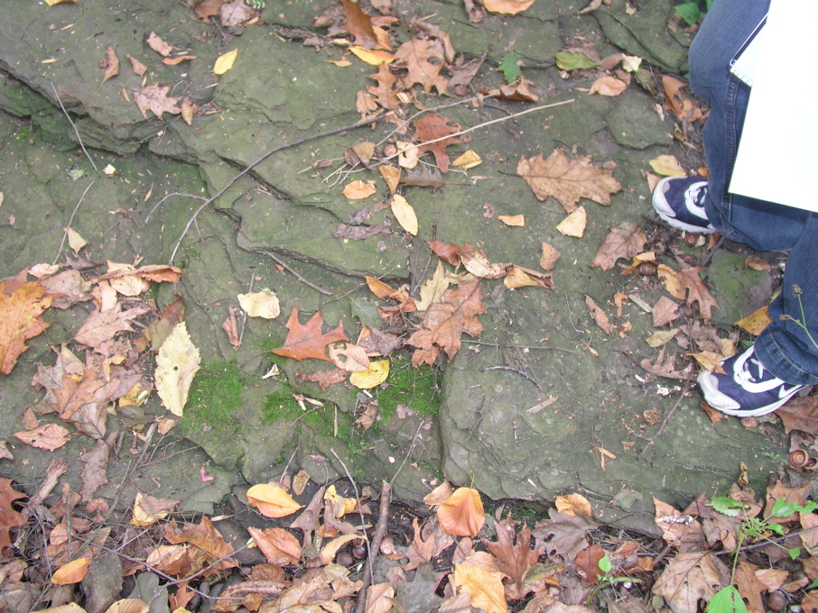 P1010010.JPG