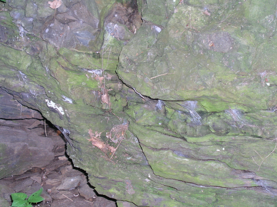 P1010013.JPG