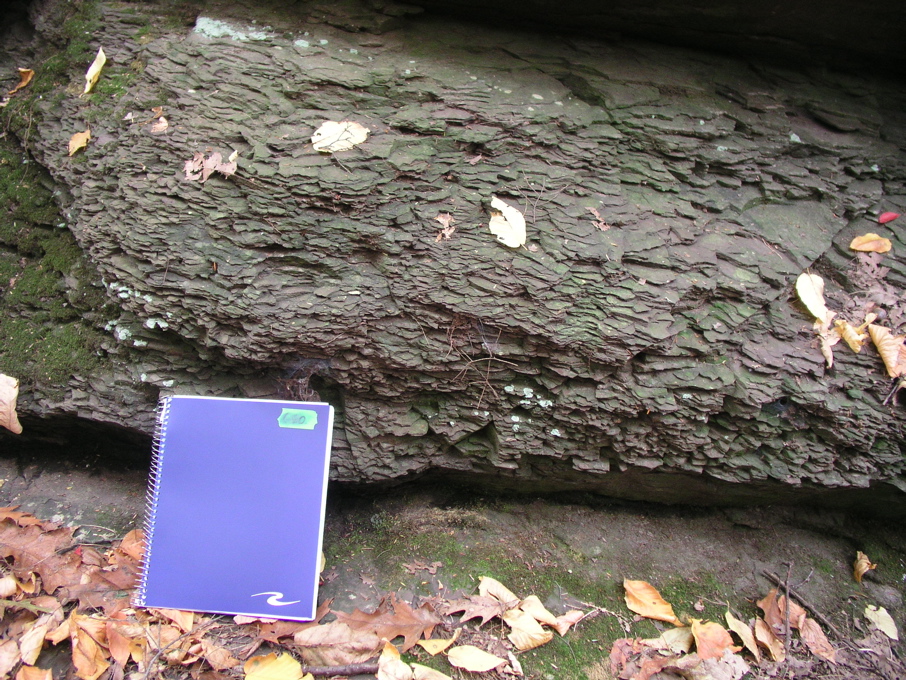 P1010018.JPG
