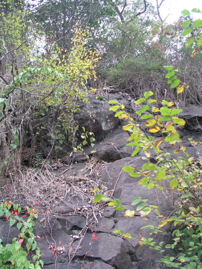 P1010031.JPG