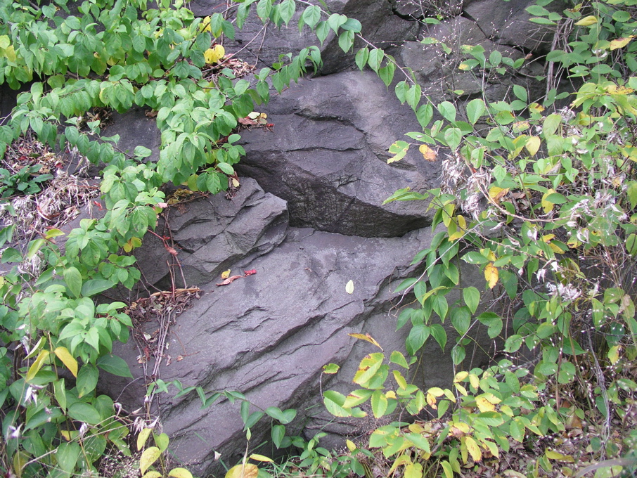 P1010032.JPG