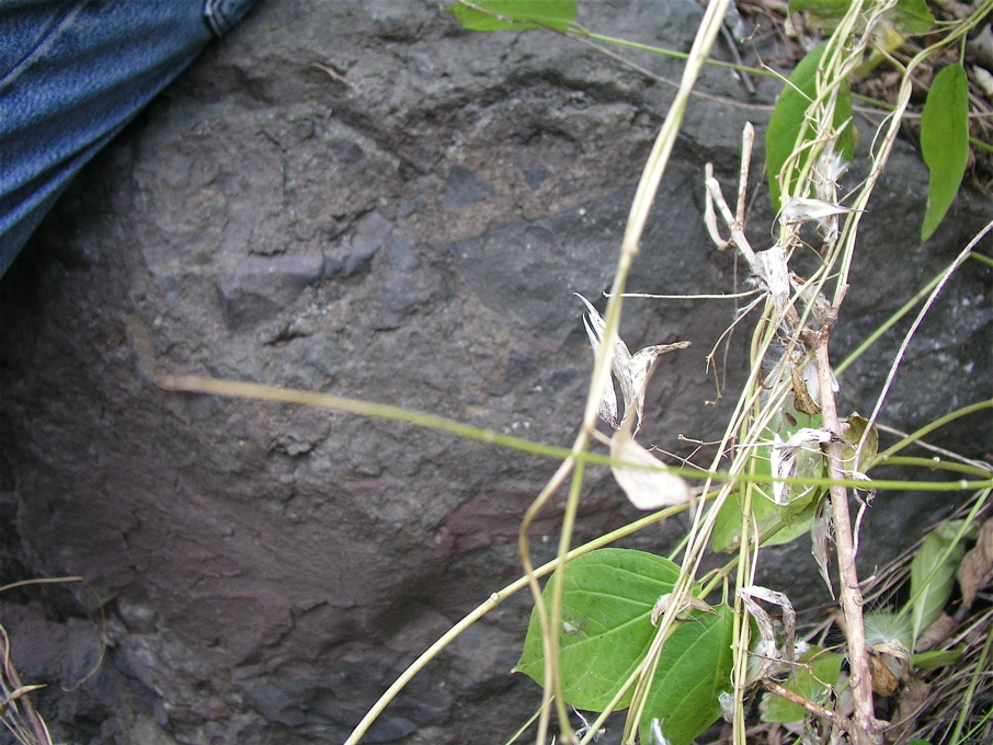P1010033.JPG