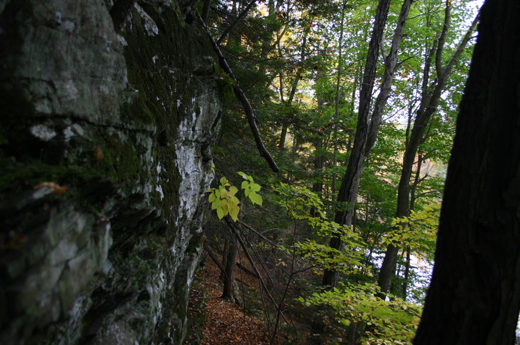 IMG_1355.JPG