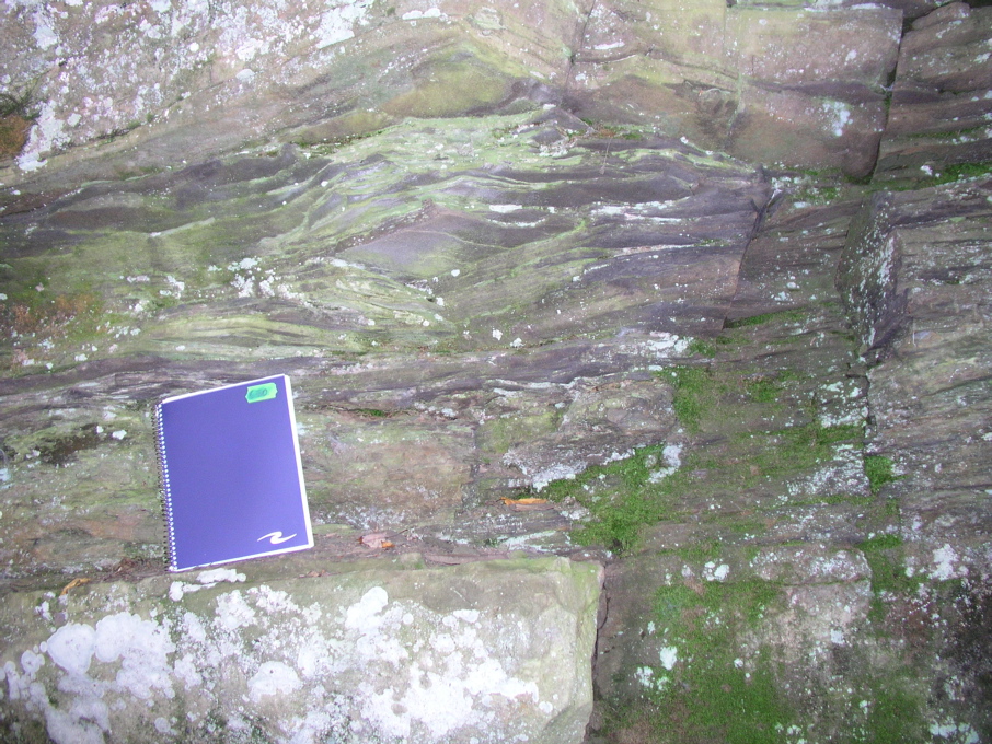 P1010034.JPG