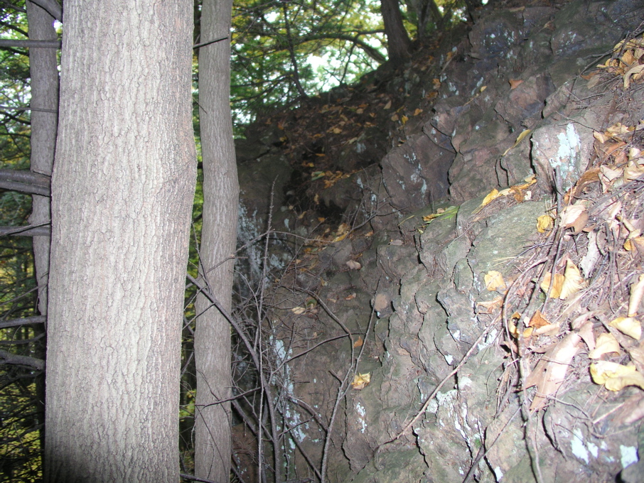 P1010042.JPG