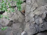 P1010001.JPG