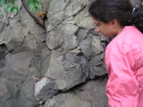 P1010002.JPG