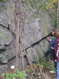 P1010003.JPG