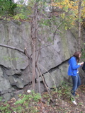 P1010004.JPG