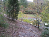 P1010005.JPG