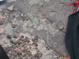 P1010006.JPG