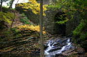 IMG_1325.JPG