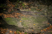IMG_1326.JPG