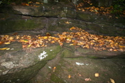 IMG_1327.JPG