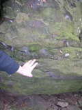 P1010007.JPG
