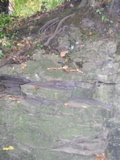 P1010008.JPG
