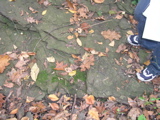 P1010010.JPG