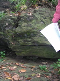 P1010011.JPG