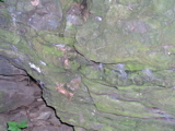 P1010013.JPG