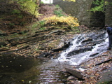 P1010015.JPG
