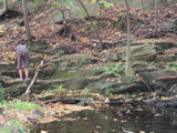 P1010016.JPG